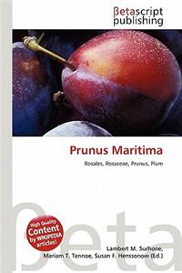Prunus Maritima