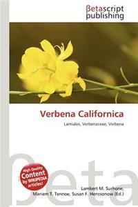 Verbena Californica