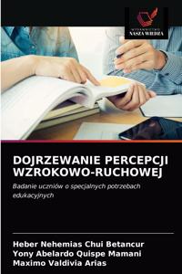 Dojrzewanie Percepcji Wzrokowo-Ruchowej