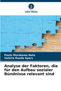 Analyse der Faktoren, die für den Aufbau sozialer Bündnisse relevant sind