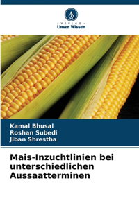 Mais-Inzuchtlinien bei unterschiedlichen Aussaatterminen