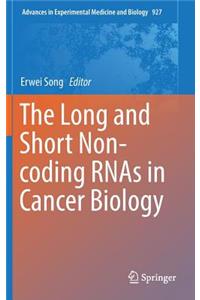 Long and Short Non-Coding Rnas in Cancer Biology