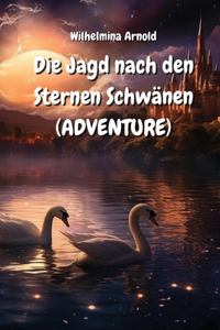 Jagd nach den Sternen Schwänen (ADVENTURE)