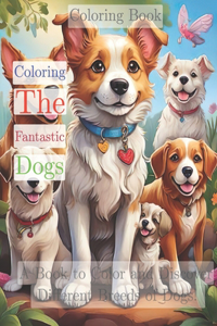 Coloring Book