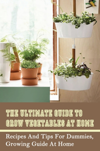 The Ultimate Guide To Grow Vegetables At Home