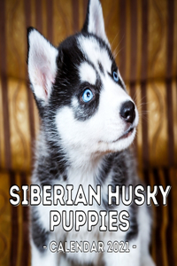 Siberian Husky Puppies Calendar 2021