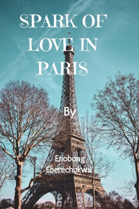 Spark of Love in Paris