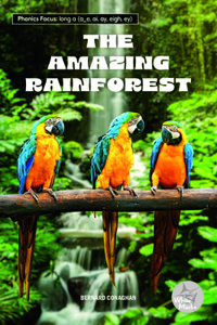 Amazing Rainforest