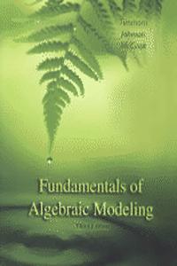 Fundamentals of Algebraic Modeling