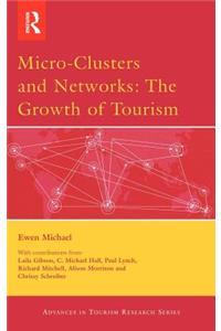 Micro-Clusters and Networks
