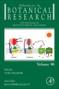 Atp Synthase in Photosynthetic Organisms