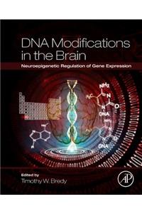 DNA Modifications in the Brain