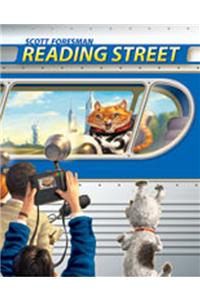 Reading 2011 Fresh Reads for Fluency and Comprehension Grade 4