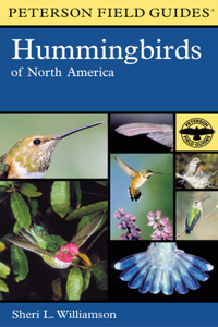 Hummingbirds of North America