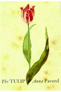 Tulip