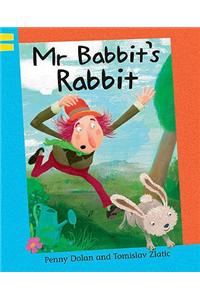 Mr Babbit's Rabbit