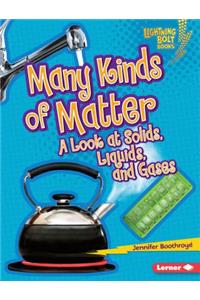 Many Kinds of Matter