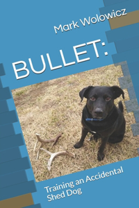 Bullet