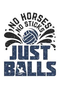 No Horses No Sticks Just Balls