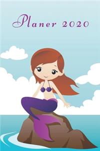 Planer 2020