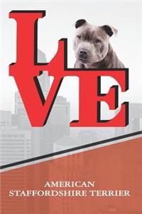 American Staffordshire Terrier