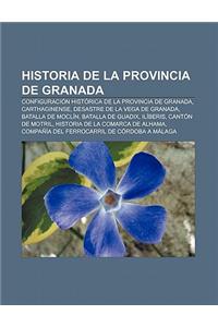 Historia de La Provincia de Granada