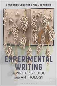 Experimental Writing