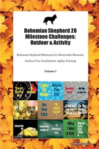 Bohemian Shepherd 20 Milestone Challenges