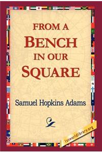 From a Bench in Our Square