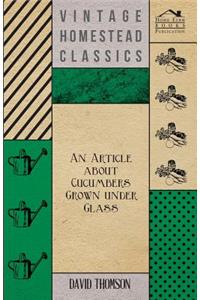 An Article About Cucumbers Grown Under Glass