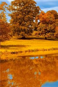 Mind Blowing Orange Like Journal