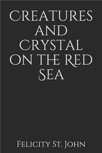 Creatures and Crystal on the Red Sea