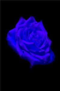 Blue Rose Journal