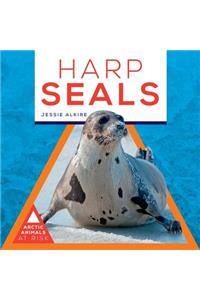 Harp Seals