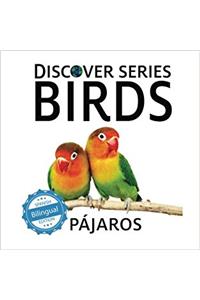 Pajaros/ Birds