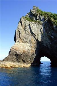 Hole in the Rock Piercy Island Bay of Islands New Zealand Journal