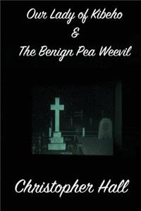 Our Lady of Kibeho & the Benign Pea Weevil