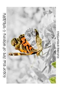 Chasing Butterflies