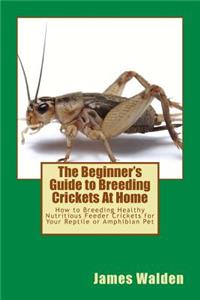 The Beginner's Guide to Breeding Crickets At Home