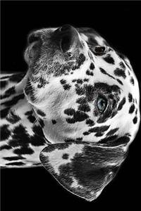 Dalmatian in Black and White Journal