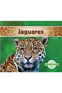 Jaguares (Jaguars) (Spanish Version)