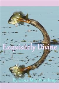 Exquisitely Divine
