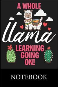 A Whole Llama Learning Going On! Notebook