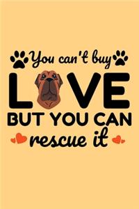 You Can't Buy Love But You can Rescue it