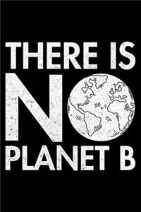 There Is No Planet B