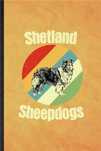 Shetland Sheepdogs