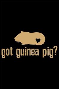 Got Guinea Pig?