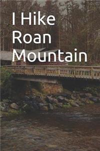 I Hike Roan Mountain