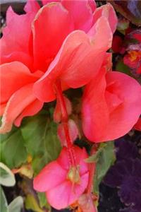 Pretty Color Summer Flowers 2019 Daily Planner 384 Pages