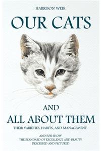 Our Cats And All About Them